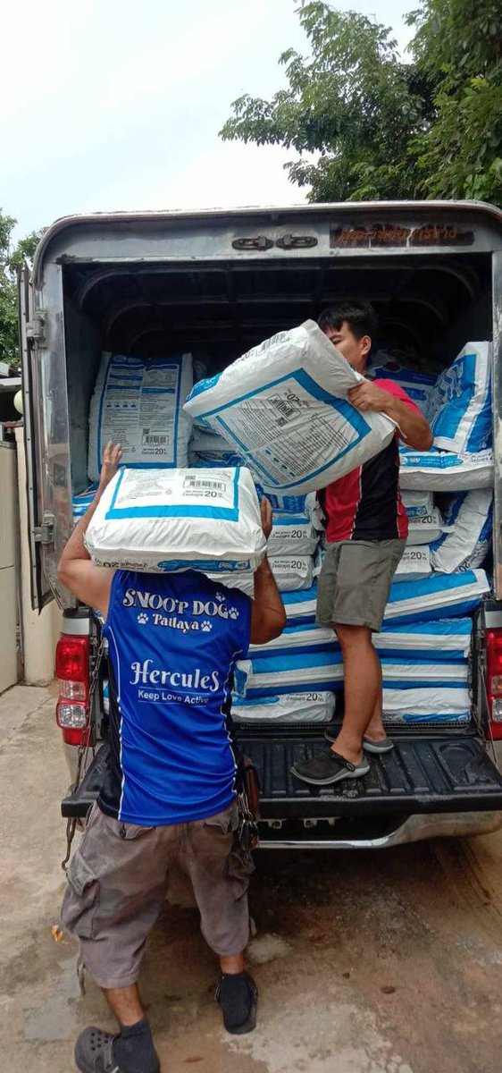 Raresama Foundation tweet media