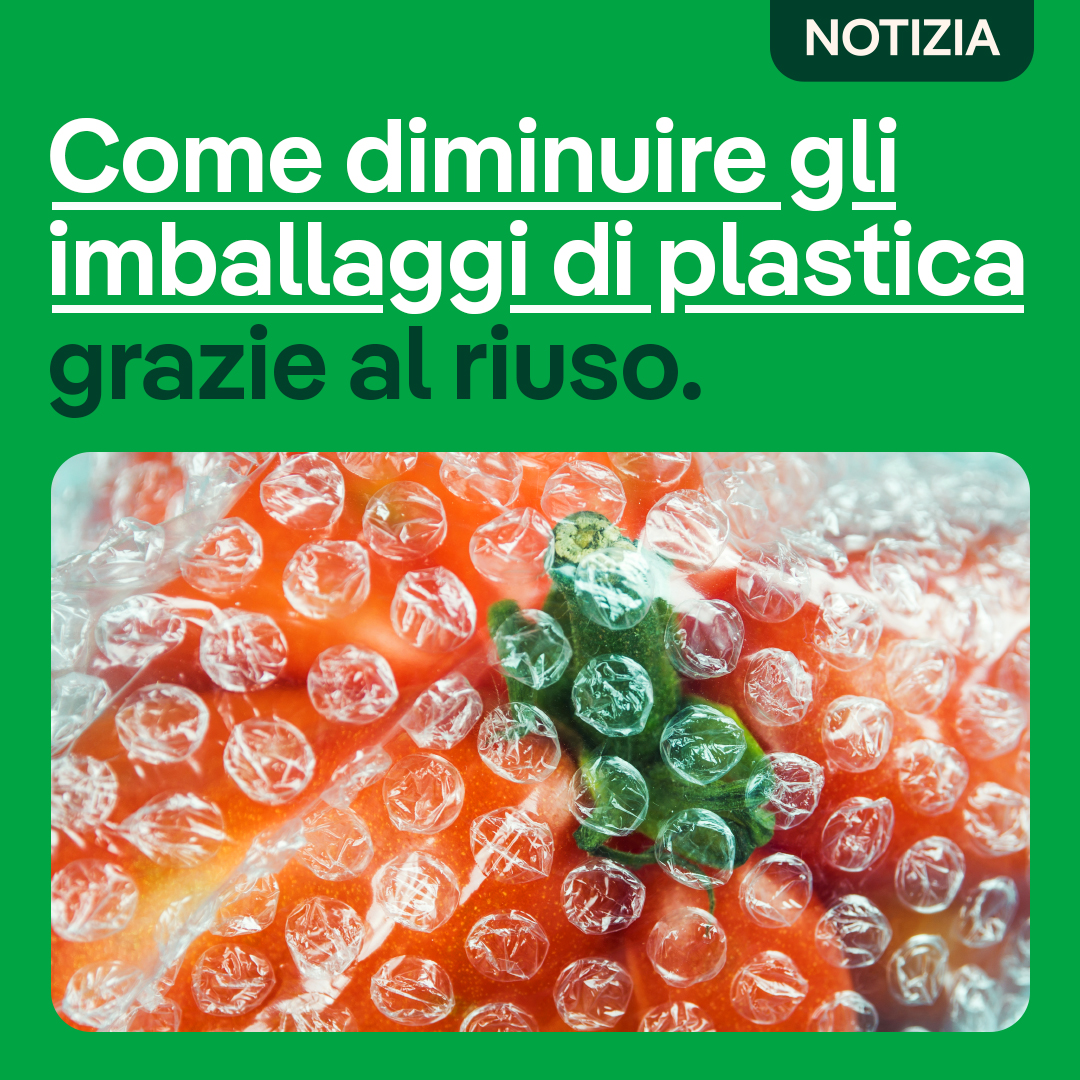 Gli imballaggi di plastica usa e getta rappresentano un grande problema ambientale. 🌍 Finalmente è stato definito un piano globale per rispondere alla domanda cruciale: come sostituire gli imballaggi di plastica?

rinnovabili.it/economia-circo…