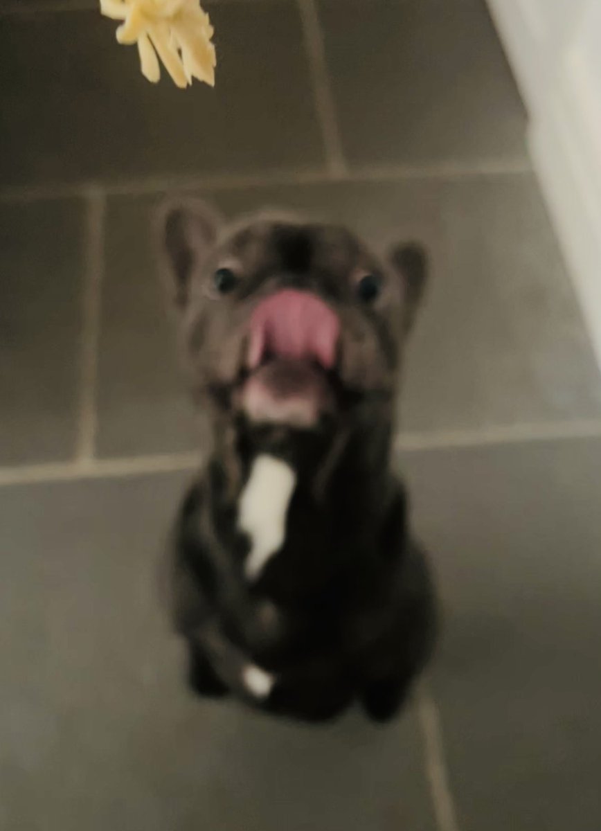 AmberGambler tweet media