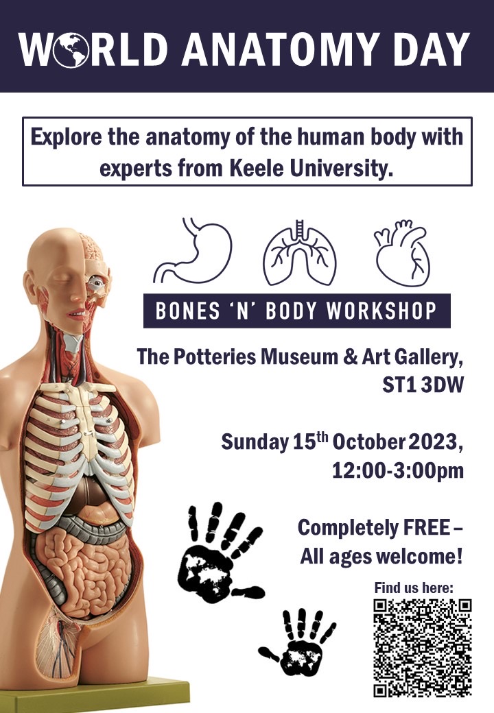 Ash_E_Steph's tweet photo. 🌍Help us to celebrate #WorldAnatomyDay2023 by coming along for some free, family fun at The Potteries Museum in #STOKEONTRENT 🦴🎨🧠🧩🙌 https://t.co/EE8XOjMbh7