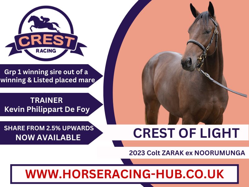 CREST OF LIGHT - Shares now available from just £1,700 plus training. Offered by @CrestRacing1 & trained by @kpfracing By ZARAK out of a winning & Listed placed mare this is a great opportunity to yet involved in an early type. For all the info visit horseracing-hub.co.uk/horse/2022-col…