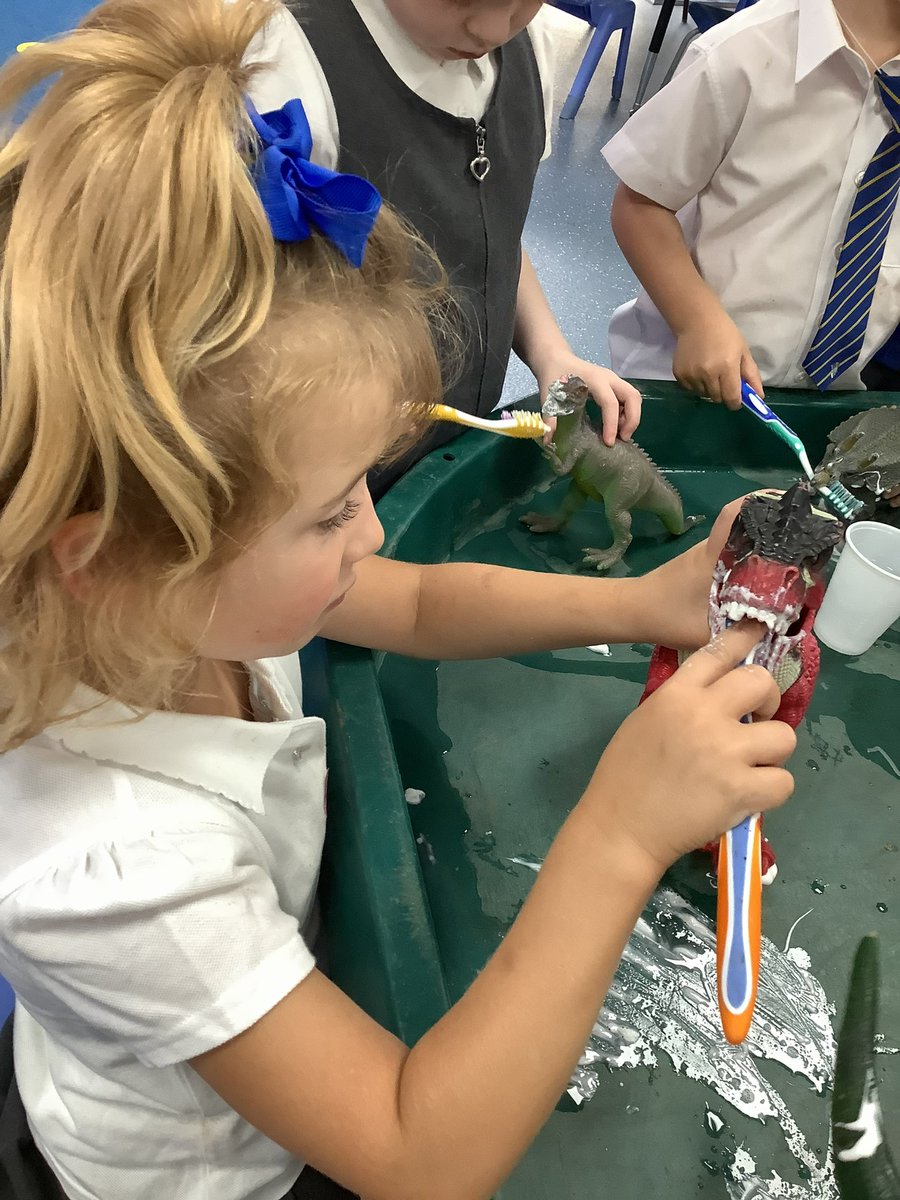 RecHiStPrimary's tweet image. This week, we are learning all about oral health and how to keep our teeth healthy and strong. We had fun this afternoon, brushing the dinosaurs’ teeth to make sure they were sparkly clean! 🦖 🦷