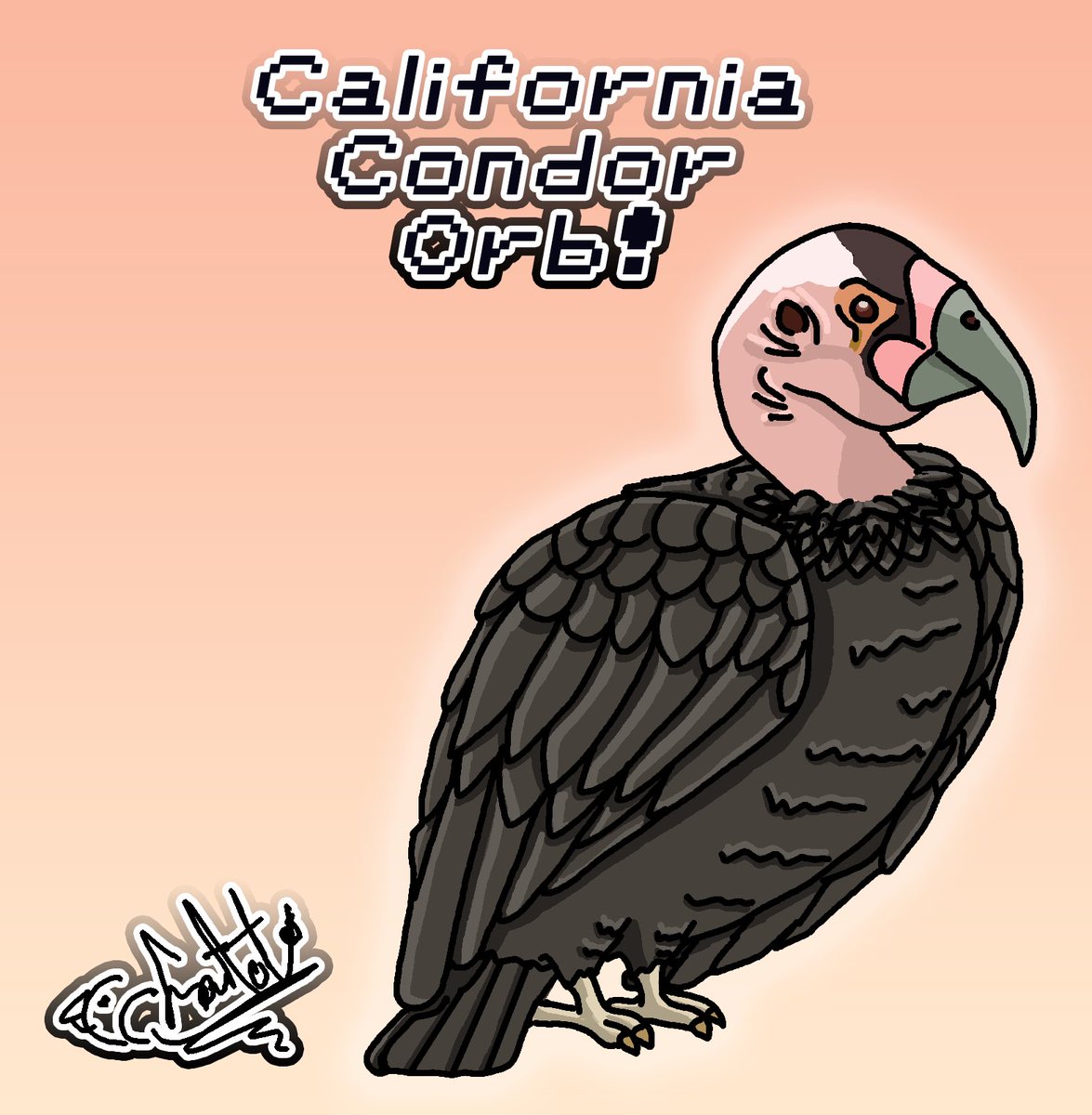 ChattyChatot's tweet photo. 26th Septembird! I think he turned out Great!Let me know what you think of California Condor orb of orbness❤️🦜#girlgamer #smallstreamer #birds #birdlovers #birbart #birdorb #smallstreamer #birb #bird #septembird #septembirds #septembird2023 #septembirdchallenge #californiacondor https://t.co/3OikAO7AON