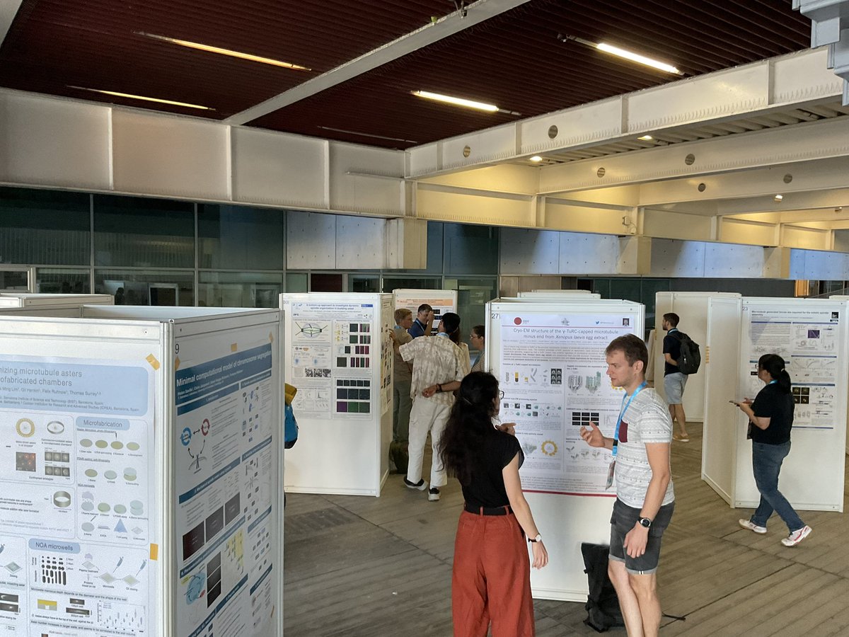 DivIDE_2025's tweet image. Poster session started! @divide2023 @CRGenomica