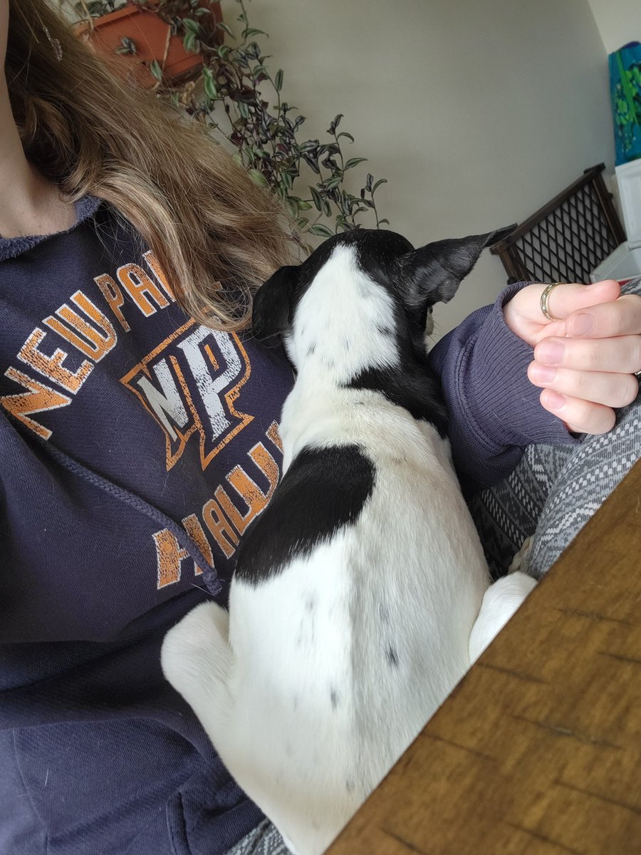 justthistwat's tweet photo. She's such a little chicken!!! https://t.co/Z1MUHRI6J9