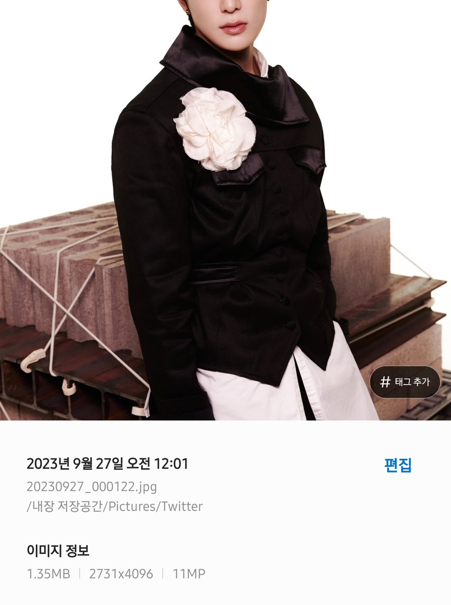 쿠아 #J tweet media