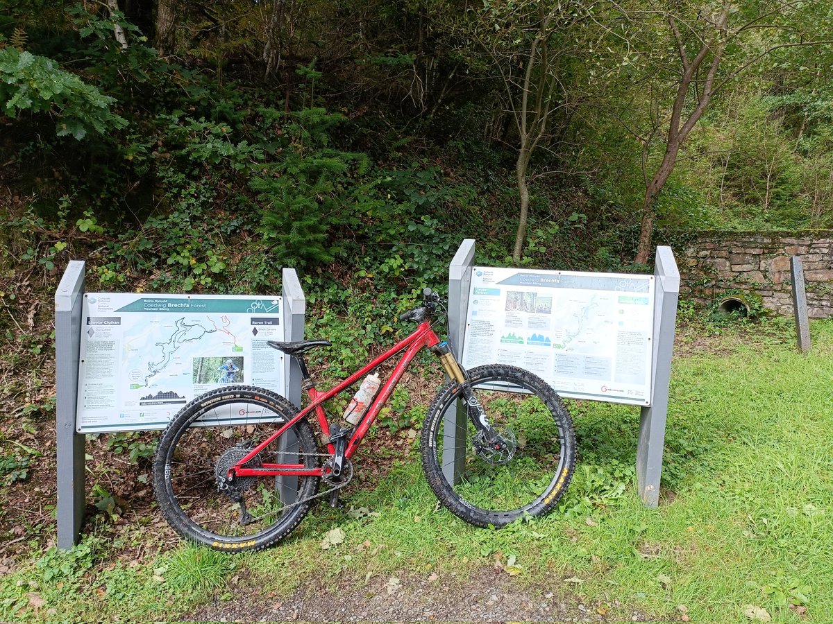 tokesurf76's tweet image. A much needed sunny but soggy blast round #brechfa and a run out for the HT for a change!🚵💨 @Absolutemtb1