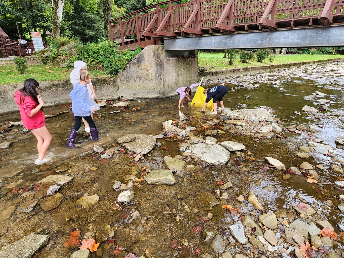 Mike Hall, Ed.D (@mhall_ams) on Twitter photo Happening now! <a href="/AvonworthKH/">Mrs. Kelly Hansen</a> What an engaging field trip to collect evidence on the health of some local streams. Students finding bio indicators to analyze. So much excitment from our students! Happening now! <a href="/AvonworthKH/">Mrs. Kelly Hansen</a> What an engaging field trip to collect evidence on the health of some local streams. Students finding bio indicators to analyze. So much excitment from our students!