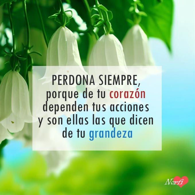 FrasesNorfiPC's tweet image. Perdona siempre, porque de tu corazón dependen tus acciones y son ellas las que dicen de tu grandeza.
norfipc.com/amor/frases-pa…
#perdón
#perdonar
#olvido