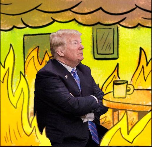 Trump_fine's tweet photo. Today is the DAY!

Presale is live soon! 30 minutes left

Get ready! https://t.co/nGKK2ldlCJ