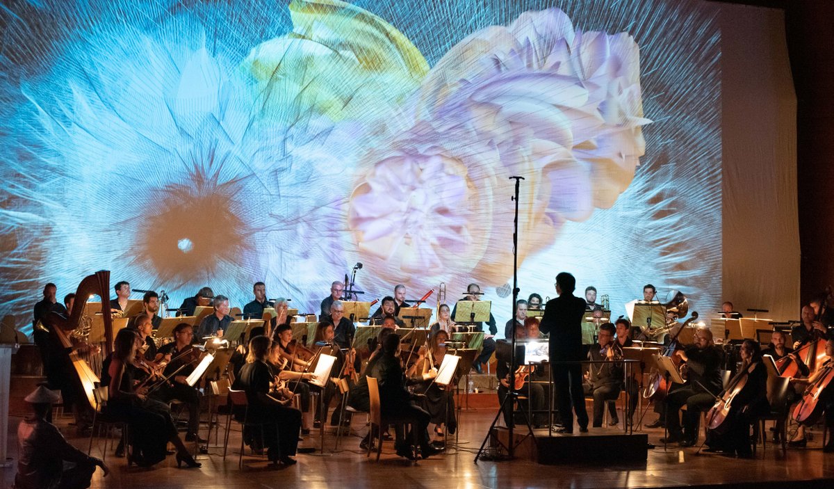ICGSoftwareGrup's tweet photo. Èxit del concert "La força de les idees" de la Fundació ICG amb l'Orquestra Simfònica Julià Carbonell i l'Orfeó Lleidatà, amb música, tecnologia visual i dansa contemporània, amb l'artista Alba G. Corral i la companyia Montse Esteve.
#cultura #dansa

🌐 https://t.co/2lf6h4rMuR https://t.co/NPyJgjrimq