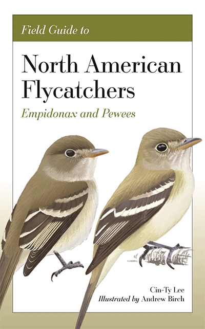 Our Book of the Week in association with @sounds_wild is the Field Guide to North American Flycatchers: Empidonax and Pewees Get it here for just £14.99 wildsounds.com/lookup.htm?ref…