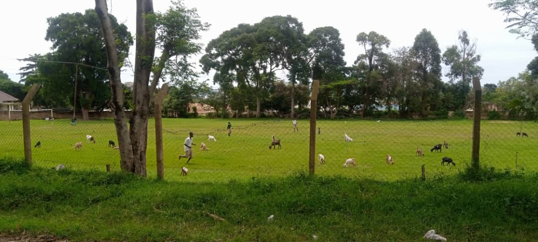 HonKakembo's tweet photo. The current state of Lake Victoria Primary School in Entebbe is tear-inducing 😢

Formerly known as the European Primary School, it only accommodated children of the colonial elite but would later evolve to accommodate natives after independence, hence the name change to Lake Victoria PS.

Today, this school which has nurtured many influential people in government and Uganda's society at large has been reduced to a goat pen and grazing ground.

The classrooms and other school structures have not experienced any major rehabilitation or upgrade since the lowering of the union jack in 1962. 

The concerned authorities can't claim that they are not aware of the school's crumbling state because most of them either studied there or drive past it everyday on their way to work. 

Perhaps this intentional ignorance lends credibility to rumblings that some big people want the school to collapse and then pounce on its well situated land. 

The Headteacher of the school is a renown if not notorious NRM Cadre, Mr. Steven Nabenda. Amongst the PTA and general public, he has earned a reputation of being arrogant, uncompromising and outright disrespectful to anyone with an alternative view about how the affairs of the school should be run. Apparently he owns some of the livestock that currently calls the school premises home.

As an inhabitant and parliamentary representative of Entebbe, it hurts me to see this once prestigious and historical school wither away under the stewardship of incompetence. 

I will continue doing everything in my power to ensure this school gets the help it deserves, because clearly not everyone seems to care. 

✍️ KMM