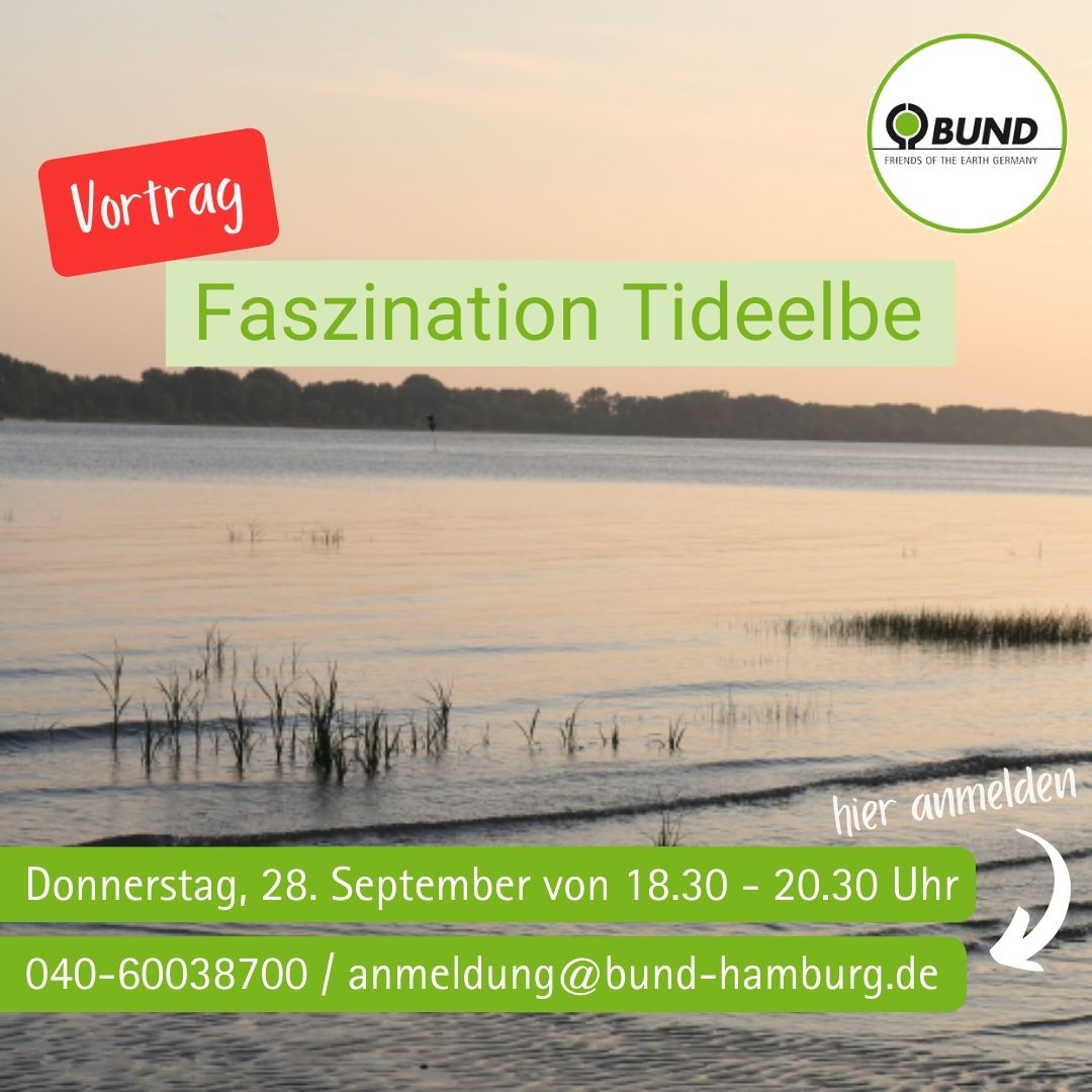 bund_hh's tweet photo. Füße im Sand, Snacks in der Hand: Wir wollen mit euch über die #elbe reden, während wir diese hautnah genießen. Donnerstag, 28.09. 18.30 - 20.30. Um Anmeldung wird gebeten unter anmeldung@bund-hamburg.de (damit wir genug Getränke/Snacks dabei habe🙃#elbstrand #elbehamburg https://t.co/5QJ3u2tEsc