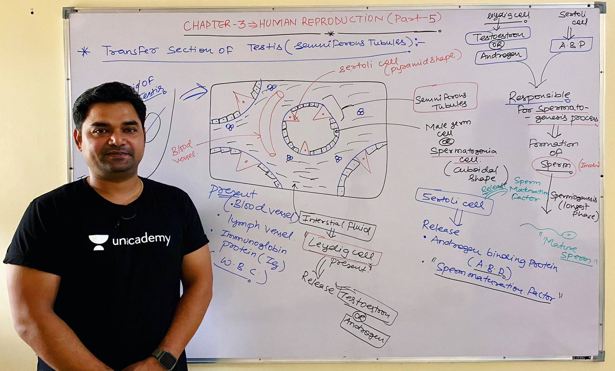 imBioMaster's tweet photo. Human reproduction✌️😀

@imsujeet91 
#pw  #byjus  #allen #aakashinstitute #unacademy #unacademyneet #edtech #edtechteachers #edtechstartup #educational #neet2024 #humanphysiology #biologyteacher #biology #cucet #students #student #linkinbio #bio https://t.co/pYDduoHS3q
