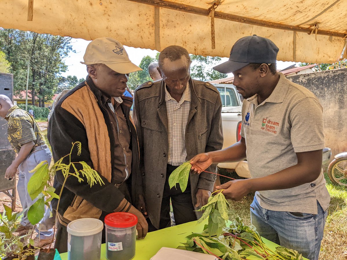 PlantVillage tweet media