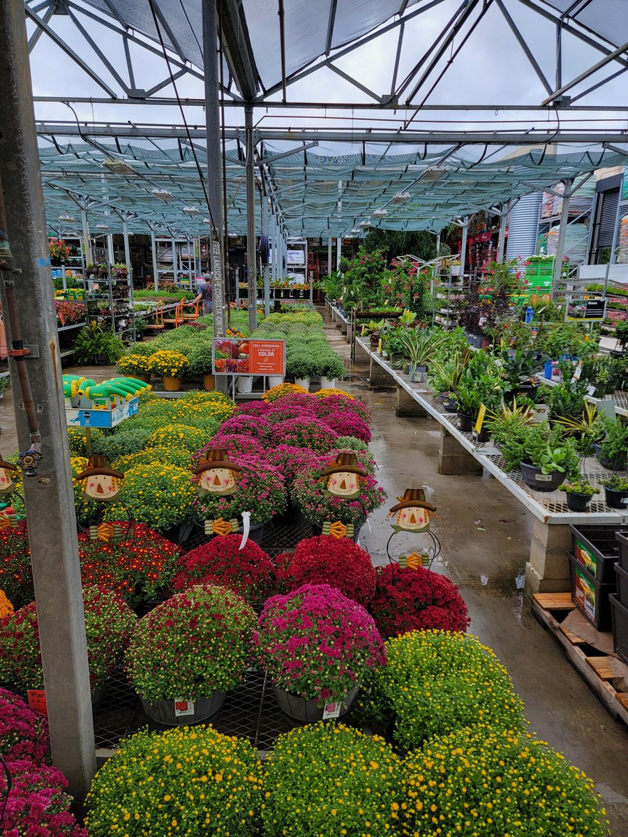 Gary Murphy tweet media