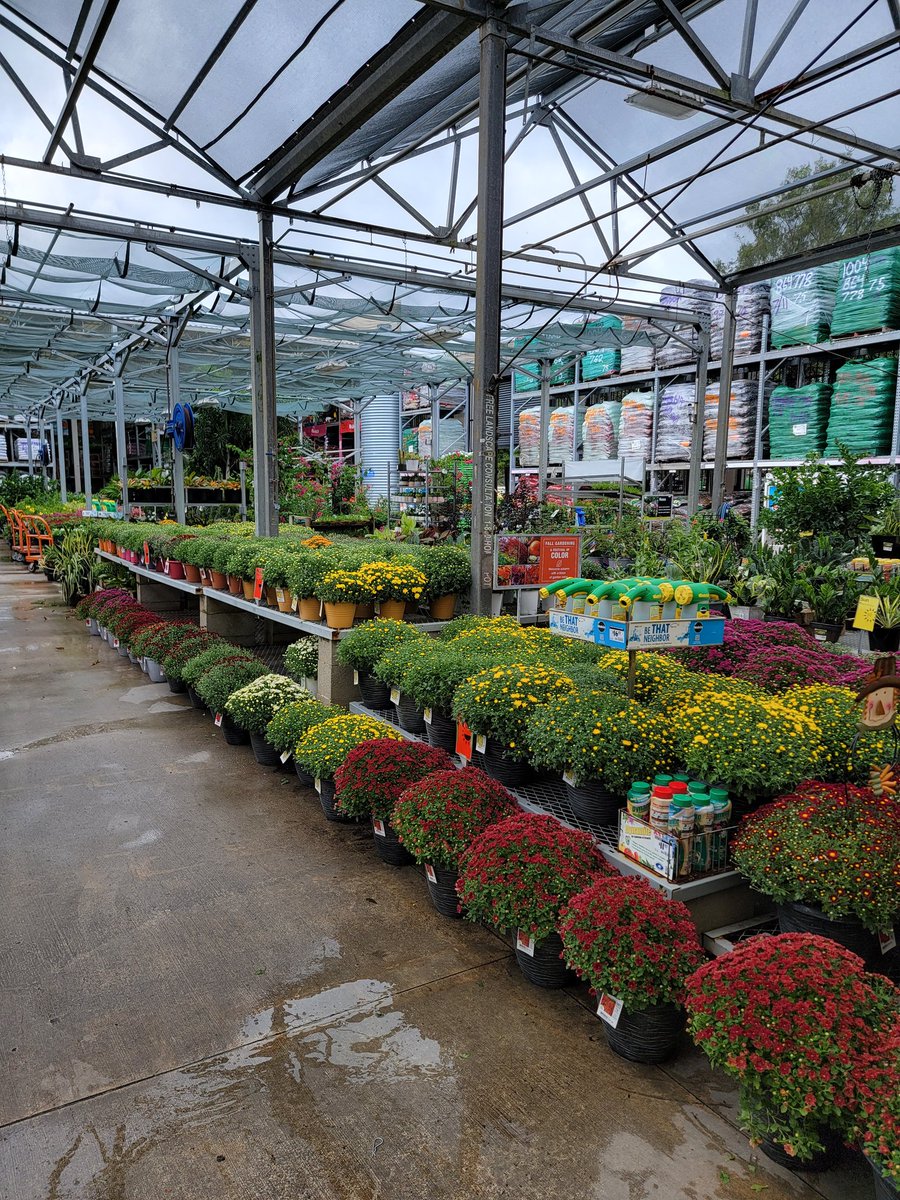 Gary Murphy tweet media