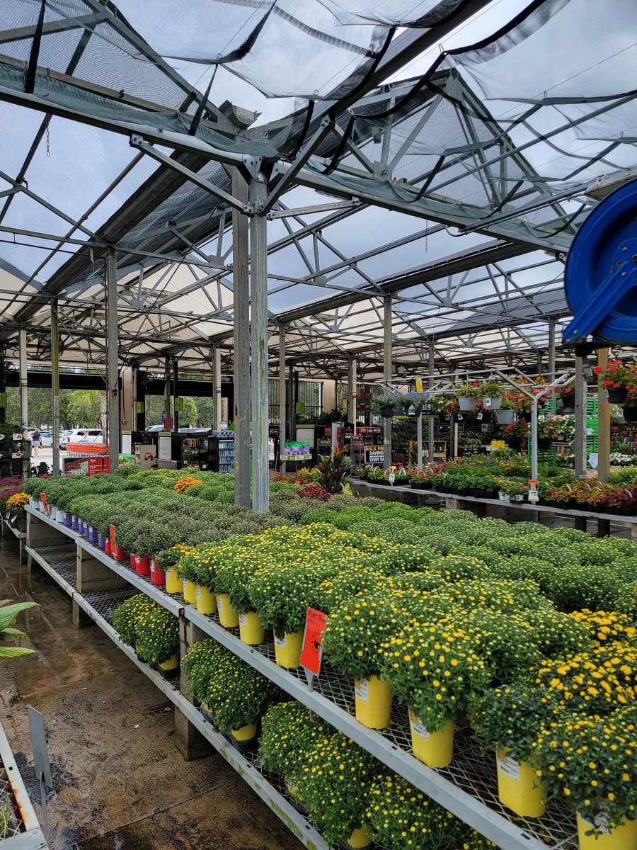 Gary Murphy tweet media