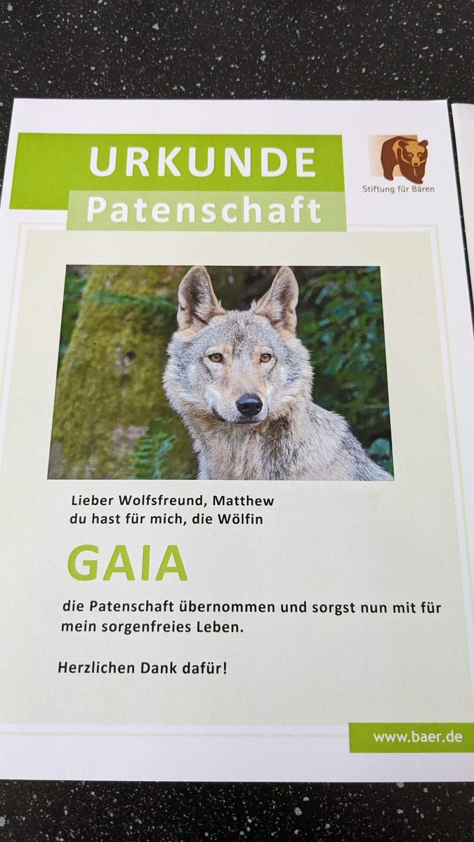 MattWeissenberg's tweet photo. Just received a written confirmation that I'm now a patron of a six year old she-wolf named Gaia who's being cared for by the Alternative Wolf &amp; Bear Park in Germany. I feel proud, happy and already looking forward to see Gaia again! https://t.co/sD7RXpb5hg