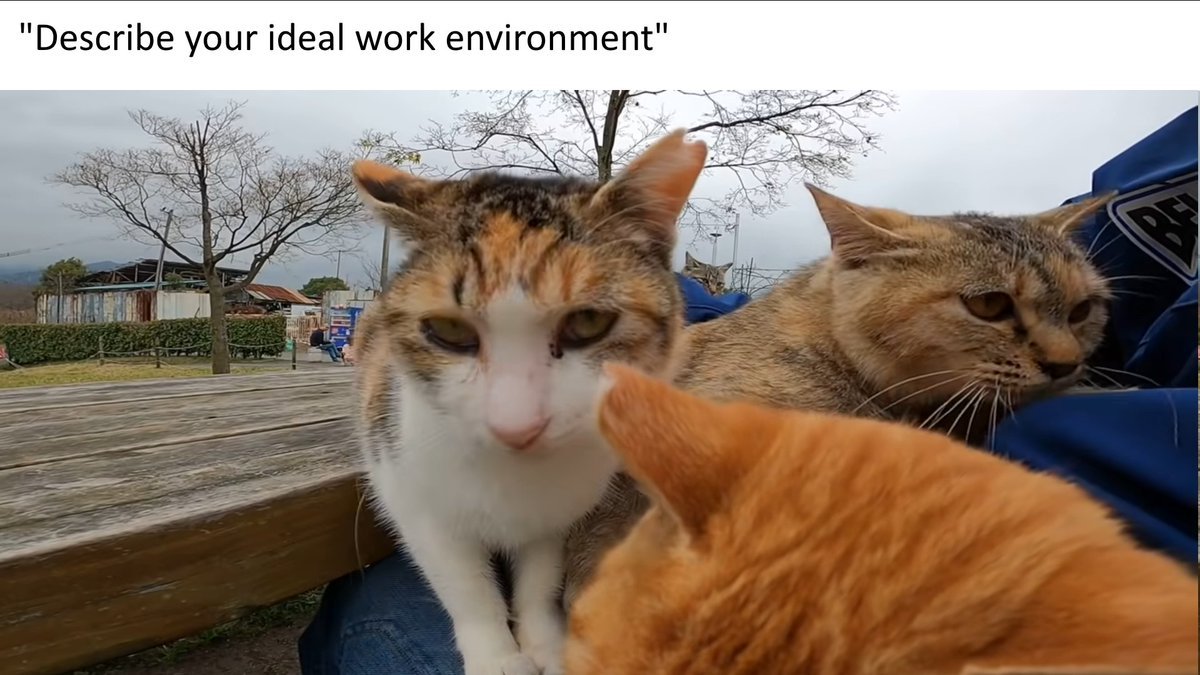 Sent by to us by  <a href="/NotImportantUs1/">NotImportantUser</a>