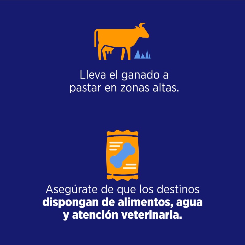 ComunicacionEc's tweet photo. Conoce cómo cuidar a tus animales o mascotas ante la llegada del Fenómeno "El Niño". Sigue las recomendaciones. ⤵️ 

Para más información visita: https://t.co/LUHFIiCGO9

#NuestroTrabajoContinúa
#MásPreparadosSegurosYUnidos