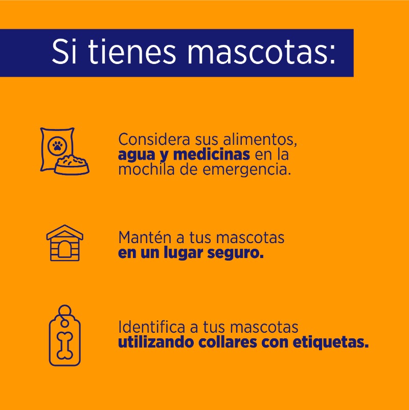 ComunicacionEc's tweet photo. Conoce cómo cuidar a tus animales o mascotas ante la llegada del Fenómeno "El Niño". Sigue las recomendaciones. ⤵️ 

Para más información visita: https://t.co/LUHFIiCGO9

#NuestroTrabajoContinúa
#MásPreparadosSegurosYUnidos