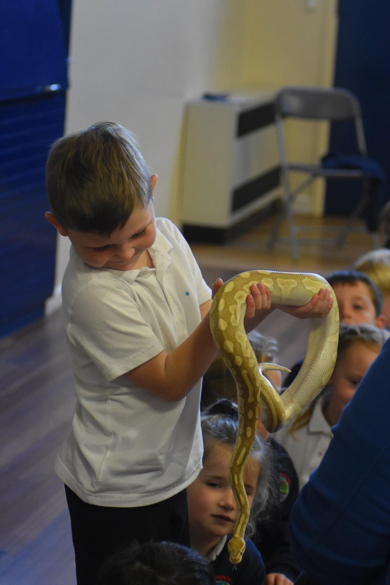 Orgill Primary School tweet media