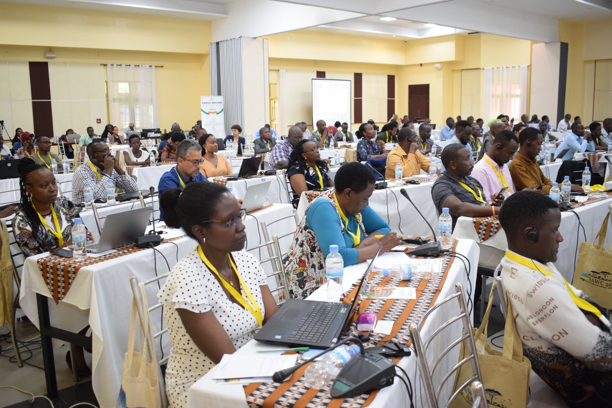 AAWConference's tweet photo. Delegates keenly follow the proceedings of the conference.
#AAWC2023 #AAWCRwanda #AAWC23 https://t.co/hBB0ItlHYJ
