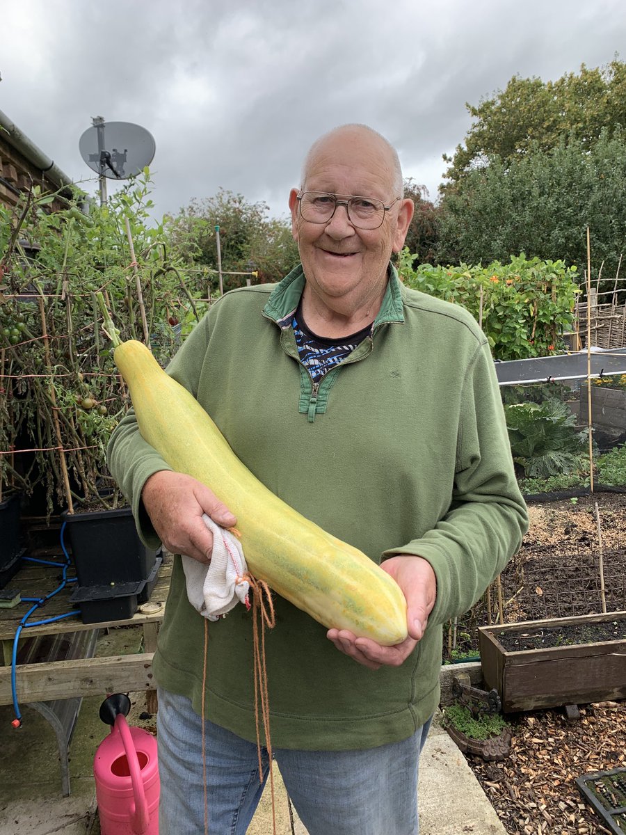 gerald stratford tweet media