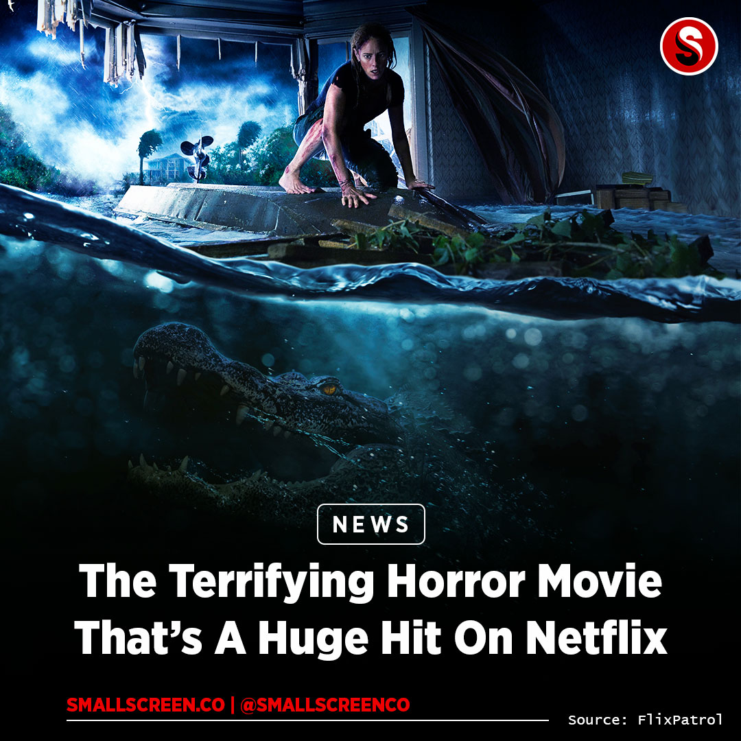 SmallScreenCo's tweet photo. 📈NOW TRENDING📉

🎬 Dive into the terrifying world of Crawl! Now trending on Netflix, find out what makes this horror flick a spine-chilling sensation. 🐊

#NetflixHorrorMovie #CrawlOnNetflix #Crawl #Netflix #HorrorMovie #HorrorMovies https://t.co/oaMOKtfaBD