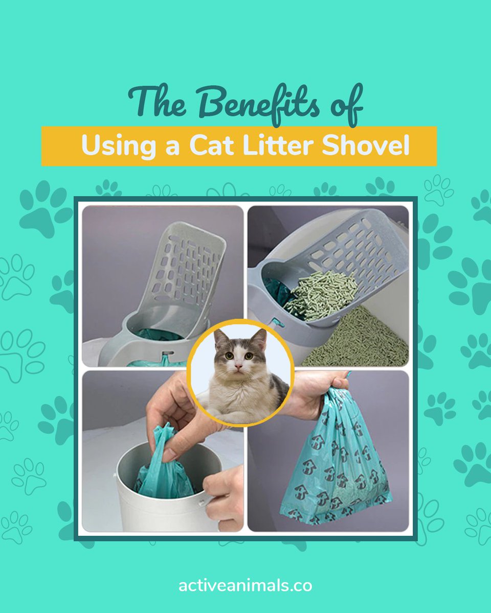 ActiveAnimal_'s tweet photo. 🐱A cat litter shovel, often referred to as a scooper, is a simple tool with several benefits for cat owners:

Efficient Waste Removal
Odor Control
Waste Reduction
Hygiene
Health Monitoring

#cleanhome #petsupplies #catsofinstagram #catcare #litterboxmaintenance https://t.co/p2PoAUCVdK