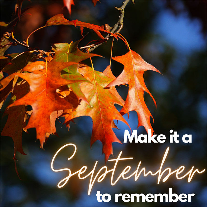 Make it a September to Remember με μια SUPER ΠΡΟΣΦΟΡΑ στα λευκά κρασιά μας! Με κάθε παραγγελία σας άνω των 100€ μέχρι 29/9 κερδίστε επιπλέον 10% σε όλα τα λευκά κρασιά στον κατάλογό μας. 

Είστε μόλις ένα κλικ μακριά
houseofwine.gr/how/make-it-a-…