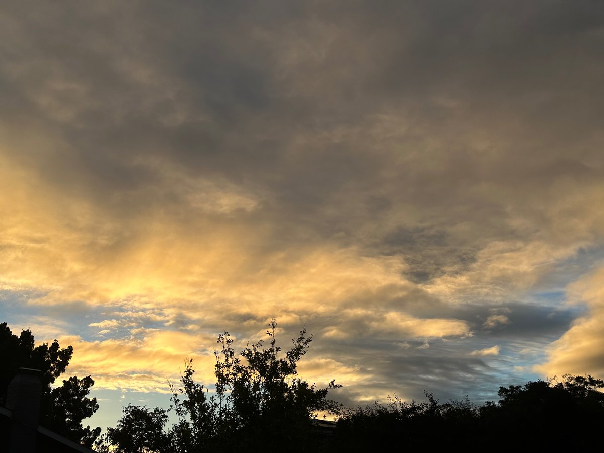 ctaMike's tweet photo. A good omen. Happy soft Tuesday autumn sunrise from San Jose. @NWSBayArea @NativeSantaCruz @RobMayeda @PaulKPIX @CTAElizabeth @LyanneMelendez @JohnShrable @TunedToTheresa https://t.co/jhbNKLfIar