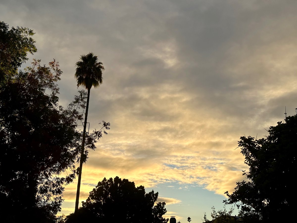 ctaMike's tweet photo. A good omen. Happy soft Tuesday autumn sunrise from San Jose. @NWSBayArea @NativeSantaCruz @RobMayeda @PaulKPIX @CTAElizabeth @LyanneMelendez @JohnShrable @TunedToTheresa https://t.co/jhbNKLfIar