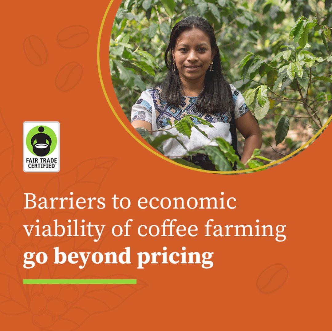 <a href="/FairTradeCert/">Fair Trade Certified</a> believes that sustainable development for coffee farmers must go beyond pricing. Of all the Fair Trade Certified coffee, only 30% of it is sold on Fair Trade terms. So, we launched an Innovation for Impact Initiative and we're eager to bring you along for the ride!