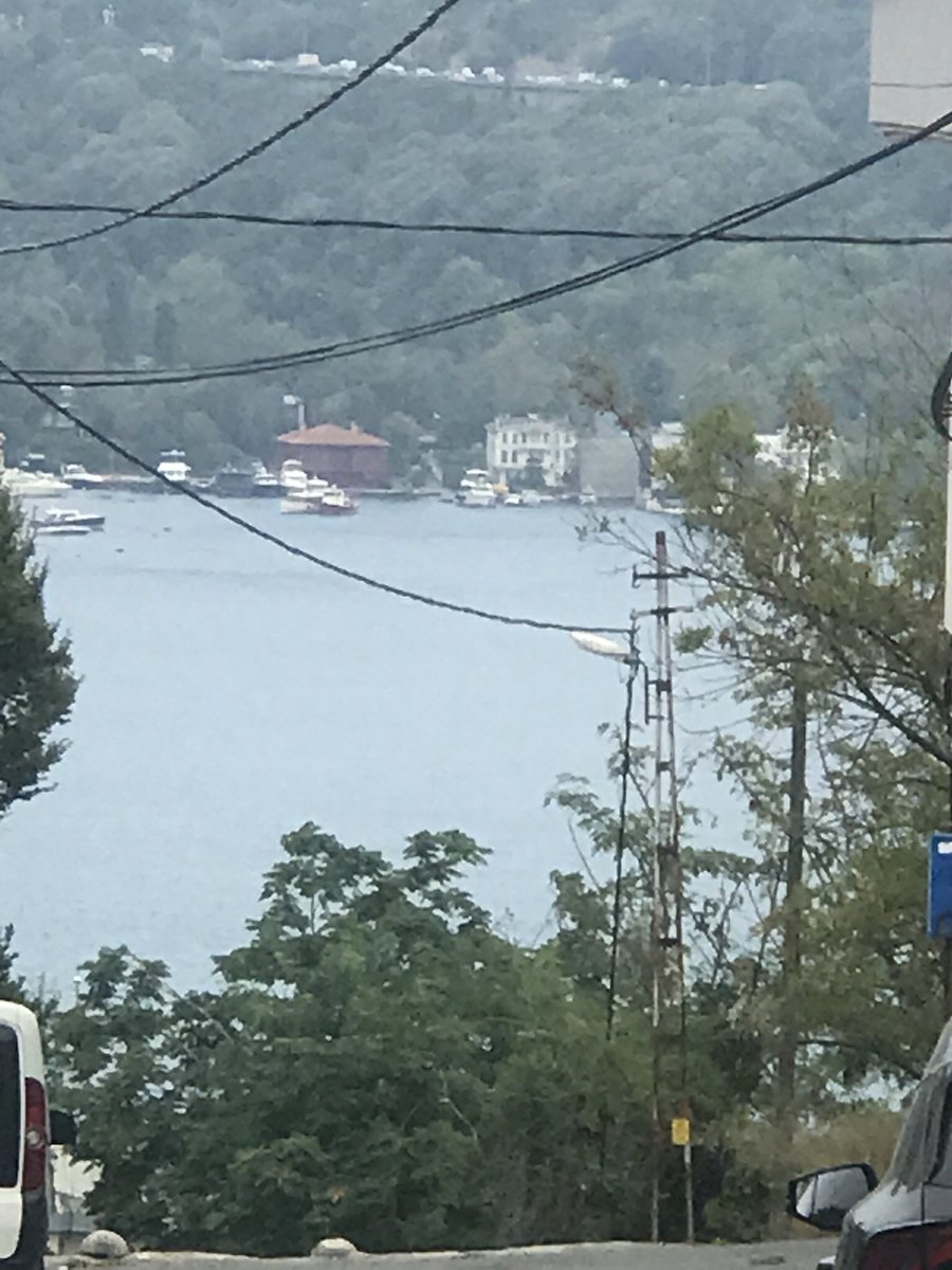 Katil_Civcivler (@samsun_renkleri) on Twitter photo 