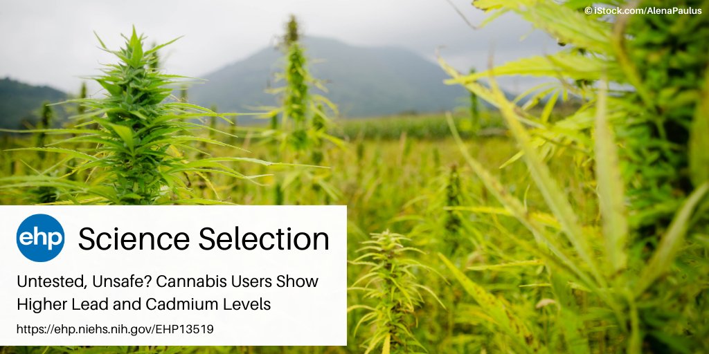 NEW: Both tobacco and cannabis plants hyperaccumulate cadmium and lead. However, in a new study by McGraw et al., people who used just cannabis had higher levels of these metals than those who used only tobacco. Read our summary ➡️ ow.ly/Amnh50PPi3H