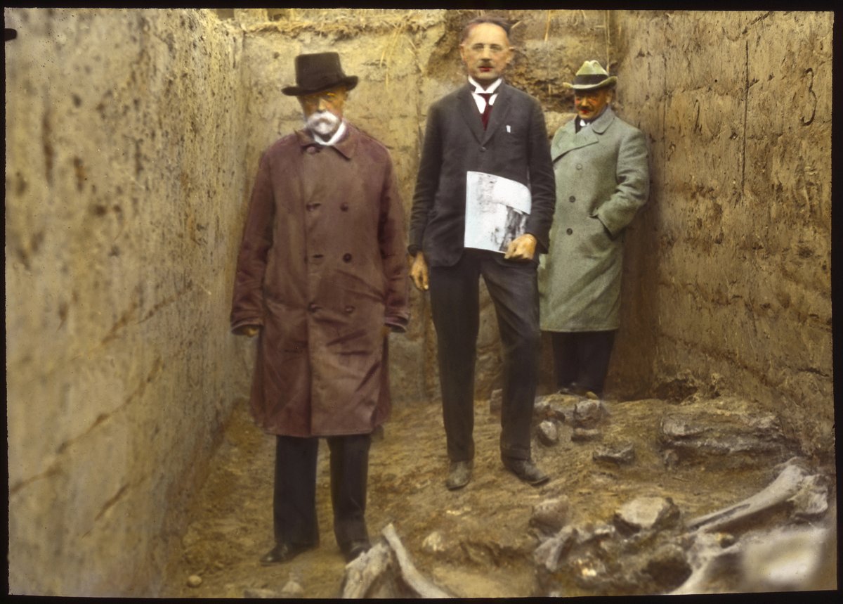 ARUBrno's tweet photo. Je nejvyšší čas navázat na ty nejlepší tradice archeologie jižní Moravy... Již zítra, po 95 letech!
@Akademie_ved_CR
@prezidentpavel
#prezident #masaryk #petrpavel #archeologie #musov #dolnivestonice https://t.co/ZamXxi63Gl