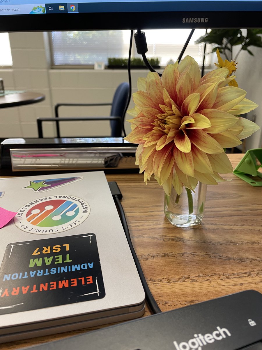 I received the most beautiful cut flowers from the Martin family today. Thank you for bringing a little sunshine to my day!