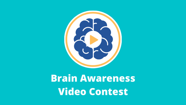SfNtweets's tweet photo. It’s time to vote for your favorite 2023 Brain Awareness Video Contest entry!

#BAVC23 People’s Choice award is open through Thursday, October 5.   

▶️ https://t.co/hQiNtdRUx5 https://t.co/A868t757ki