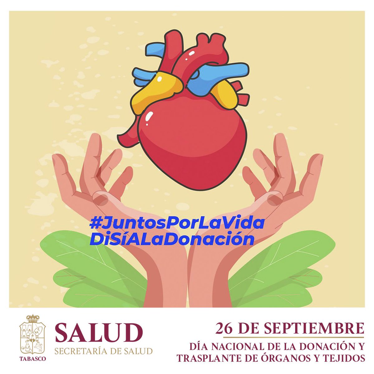 26 de Septiembre, Día Nacional de la Donación y Trasplante de Órganos y Tejidos 

Donar es brindar una oportunidad de vida después de la vida, es entregarse en uno de los actos de amor más desinteresados que la humanidad conoce y reconoce. #SumaVidaDonaOrganos