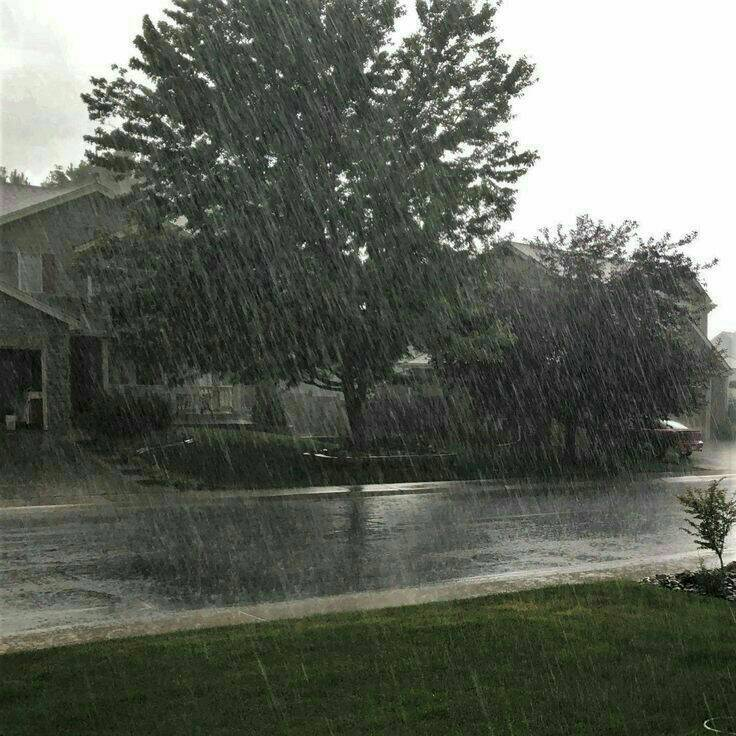 artindetails's tweet photo. rainy day. https://t.co/WH8AgVMRbP