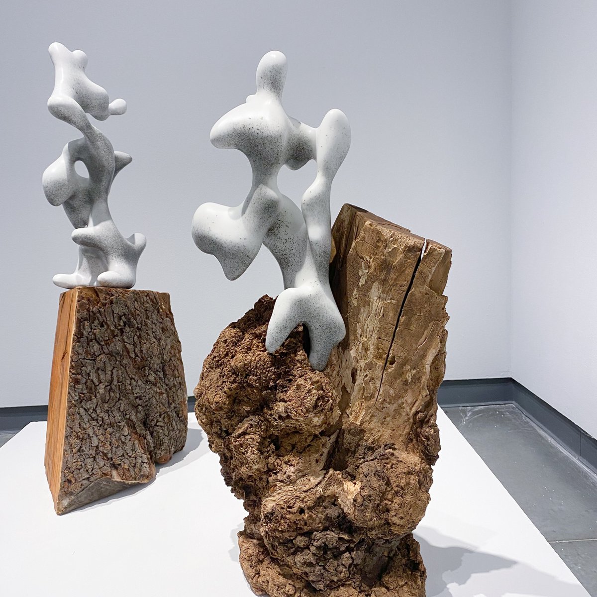 Ben Snell tweet media