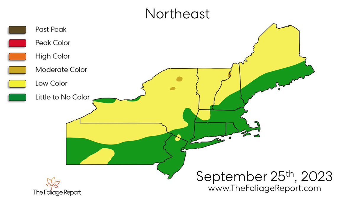 FoliageReport's tweet photo. Here is The Foliage Report for the Northeast as of September 25th, 2023.

#Fall #fallfoliage #autumn https://t.co/Hpdom4pr0x