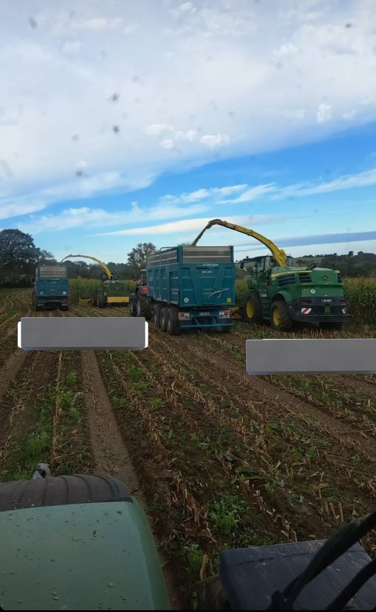 alea jacta 🍀🤞❤️ tweet media