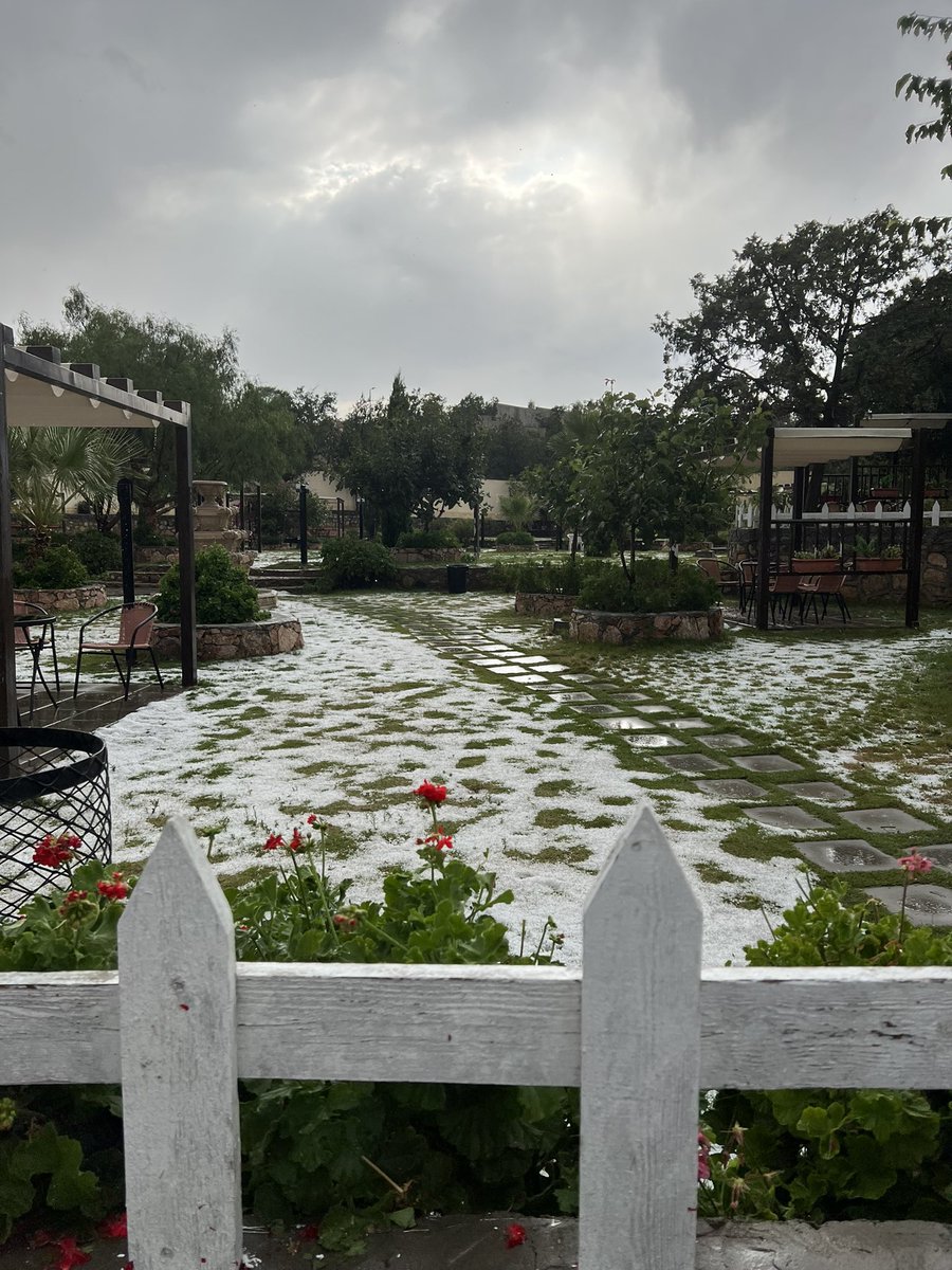 r__af06's tweet image. شتينا من بدري في الطائف 🤍