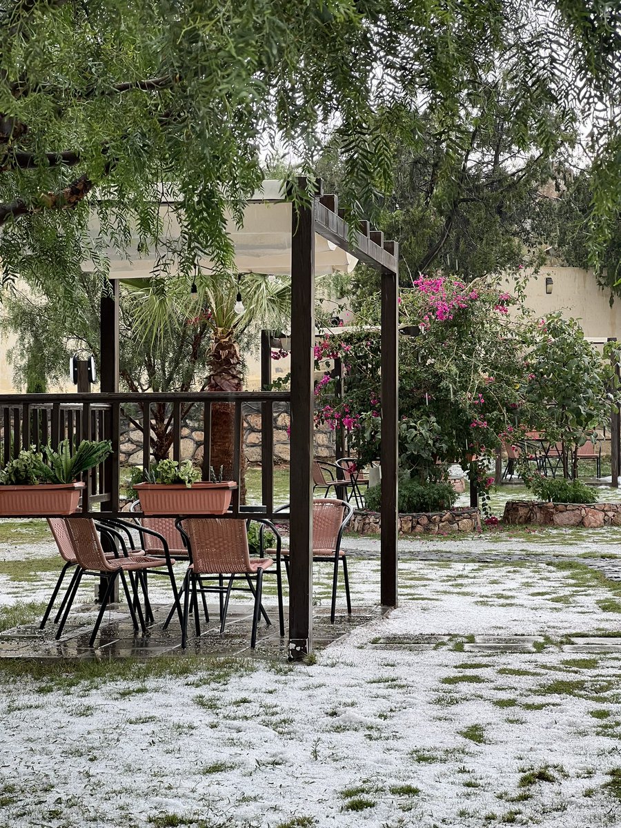 r__af06's tweet image. شتينا من بدري في الطائف 🤍