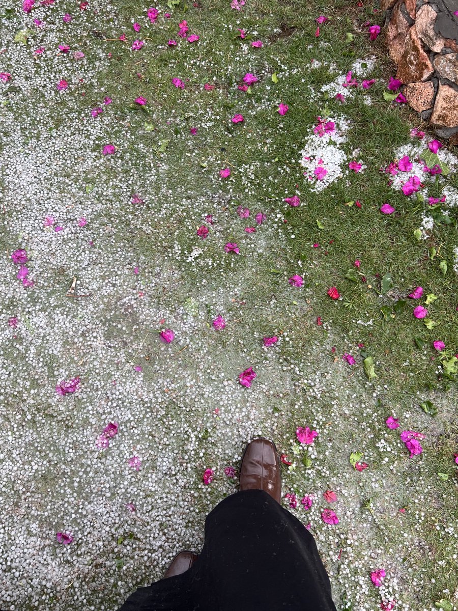 r__af06's tweet image. شتينا من بدري في الطائف 🤍