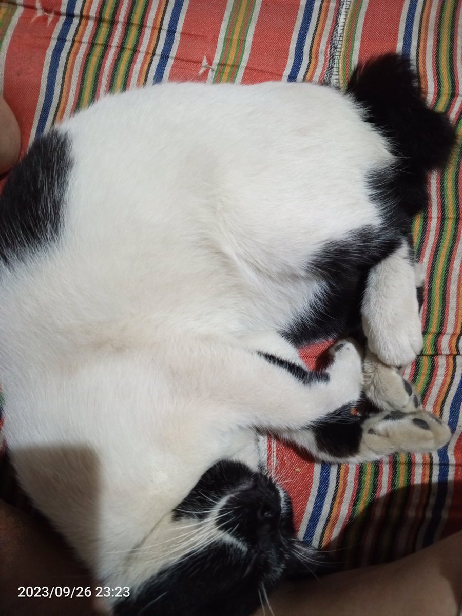 iindah_h's tweet photo. Abis dikasih misagrip bbo.a jadi puless https://t.co/n0dbDEpINA